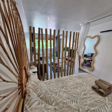 Napoléon * Rocabruna